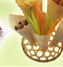 cones, panier bambou