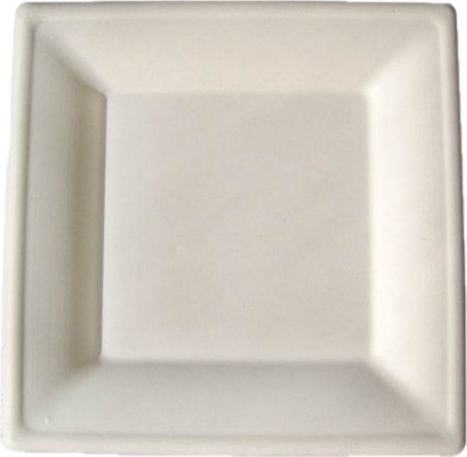 assiette carrée en pulpe de canne à sucre lsbio