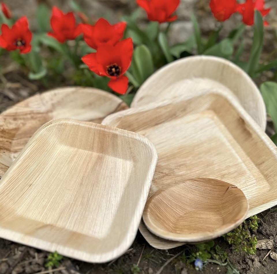 assiettes feuille palmier ecologiques lsbio