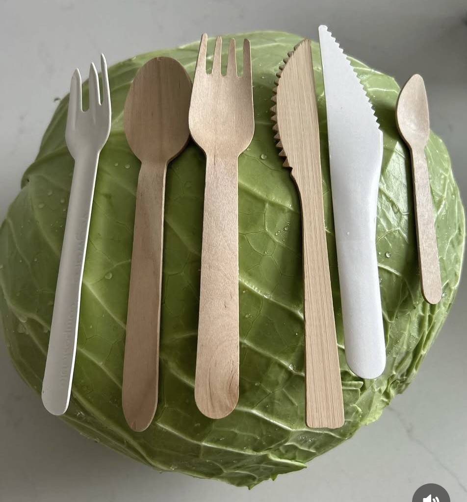 couvert en bois en bambou en papier lsbio