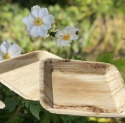 Assiette palmier carrée 17 cm présentée en extérieur avec veinage naturel