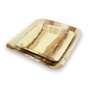 Lot d’assiettes carrées en palmier 24 cm biodégradables et compostables – vaisselle jetable écologique LSBIO