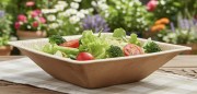 Bol en palmier Khéops 16 × 16 cm présenté avec une salade fraîche – bol écologique biodégradable