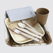Pack vaisselle palmier biodégradable – 10 personnes